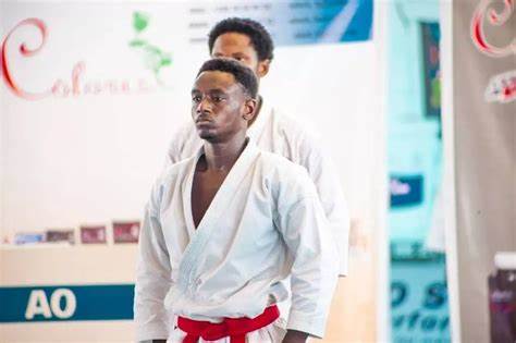 Brice Tarrah Karaté coloris phoenix karate club